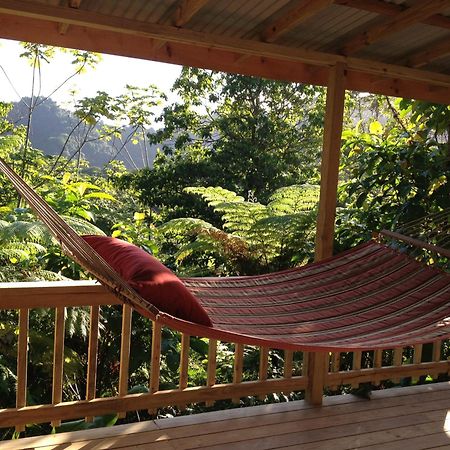 Roots Jungle Retreat Villa Marigot Bagian luar foto