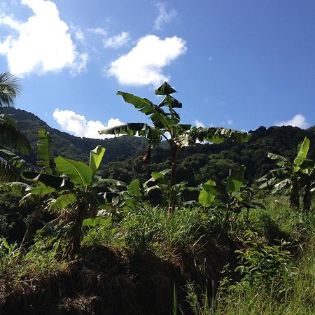 Roots Jungle Retreat Villa Marigot Bagian luar foto