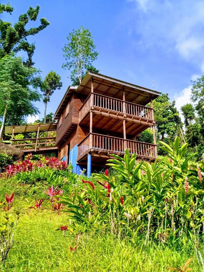 Roots Jungle Retreat Villa Marigot Bagian luar foto