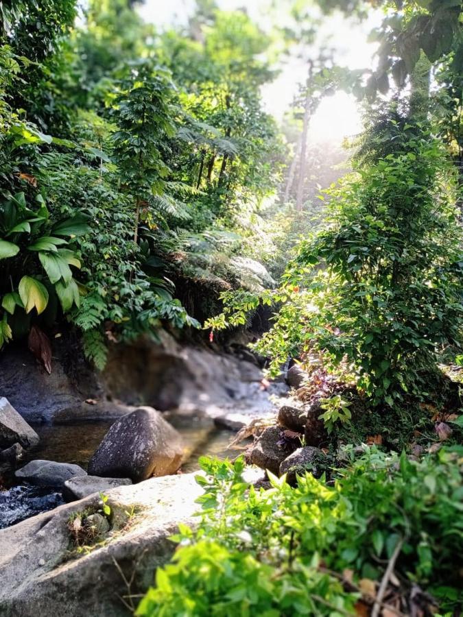 Roots Jungle Retreat Villa Marigot Bagian luar foto