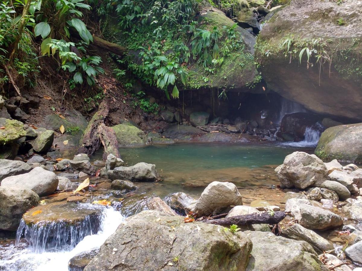 Roots Jungle Retreat Villa Marigot Bagian luar foto