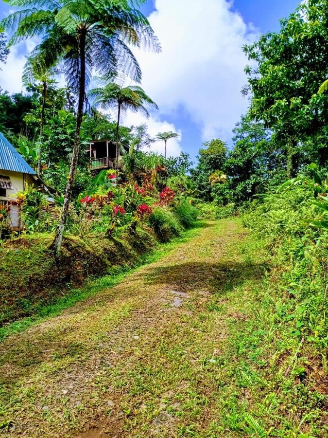 Roots Jungle Retreat Villa Marigot Bagian luar foto