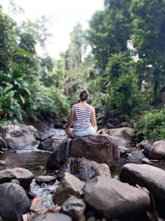Roots Jungle Retreat Villa Marigot Bagian luar foto