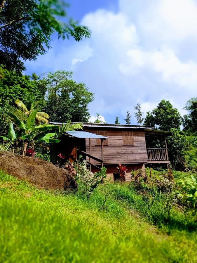 Roots Jungle Retreat Villa Marigot Bagian luar foto