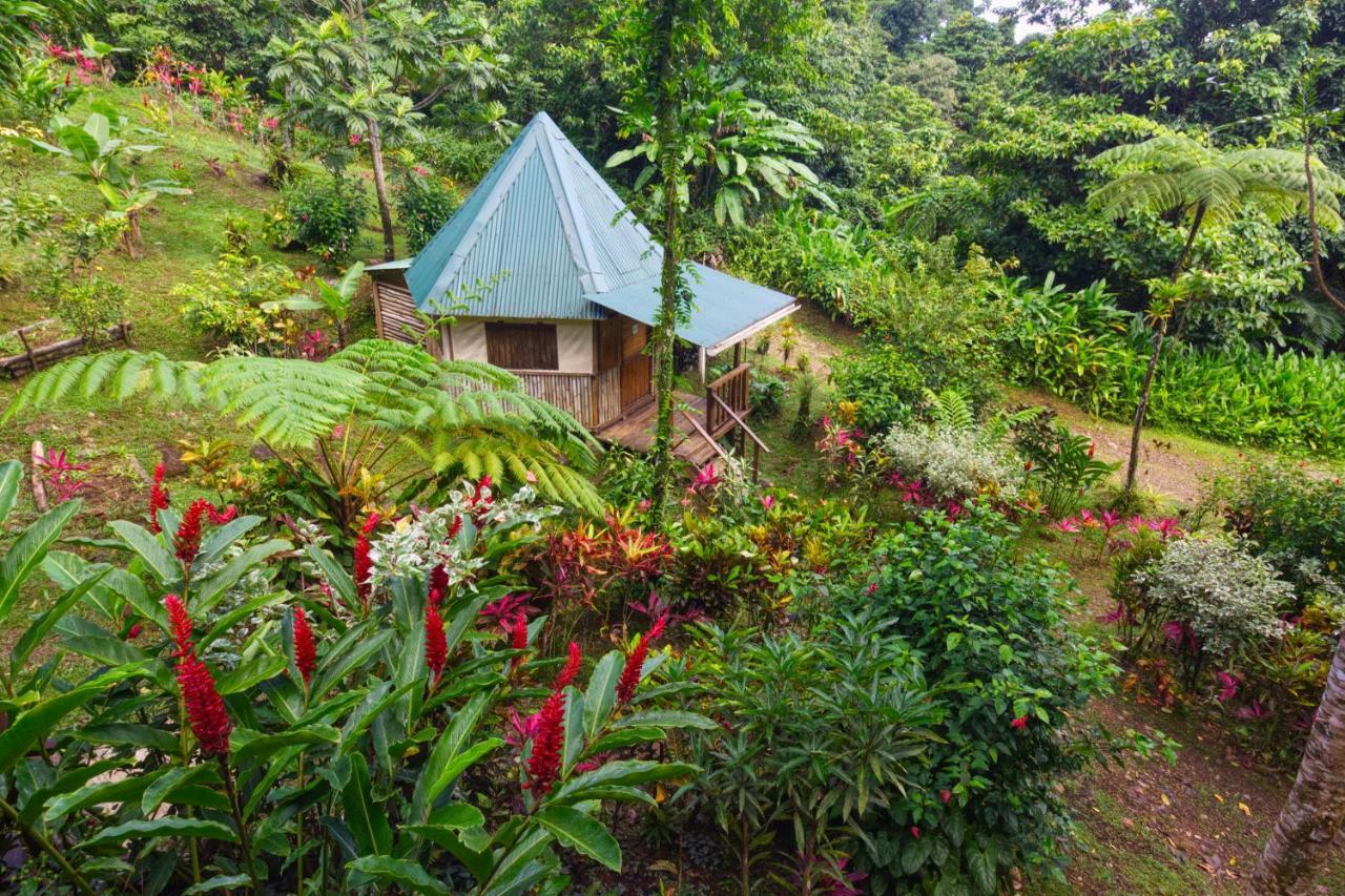 Roots Jungle Retreat Villa Marigot Bagian luar foto