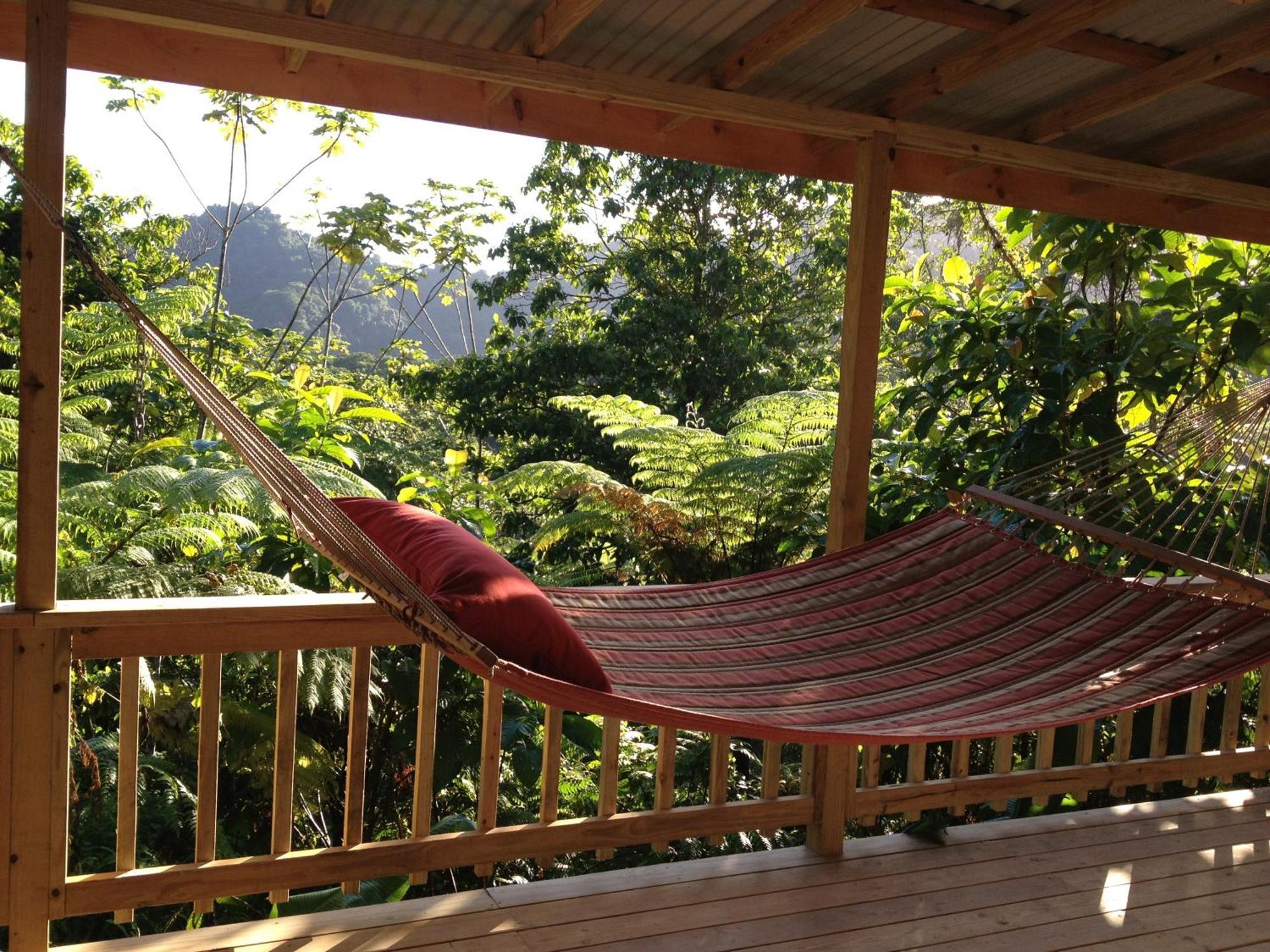 Roots Jungle Retreat Villa Marigot Bagian luar foto