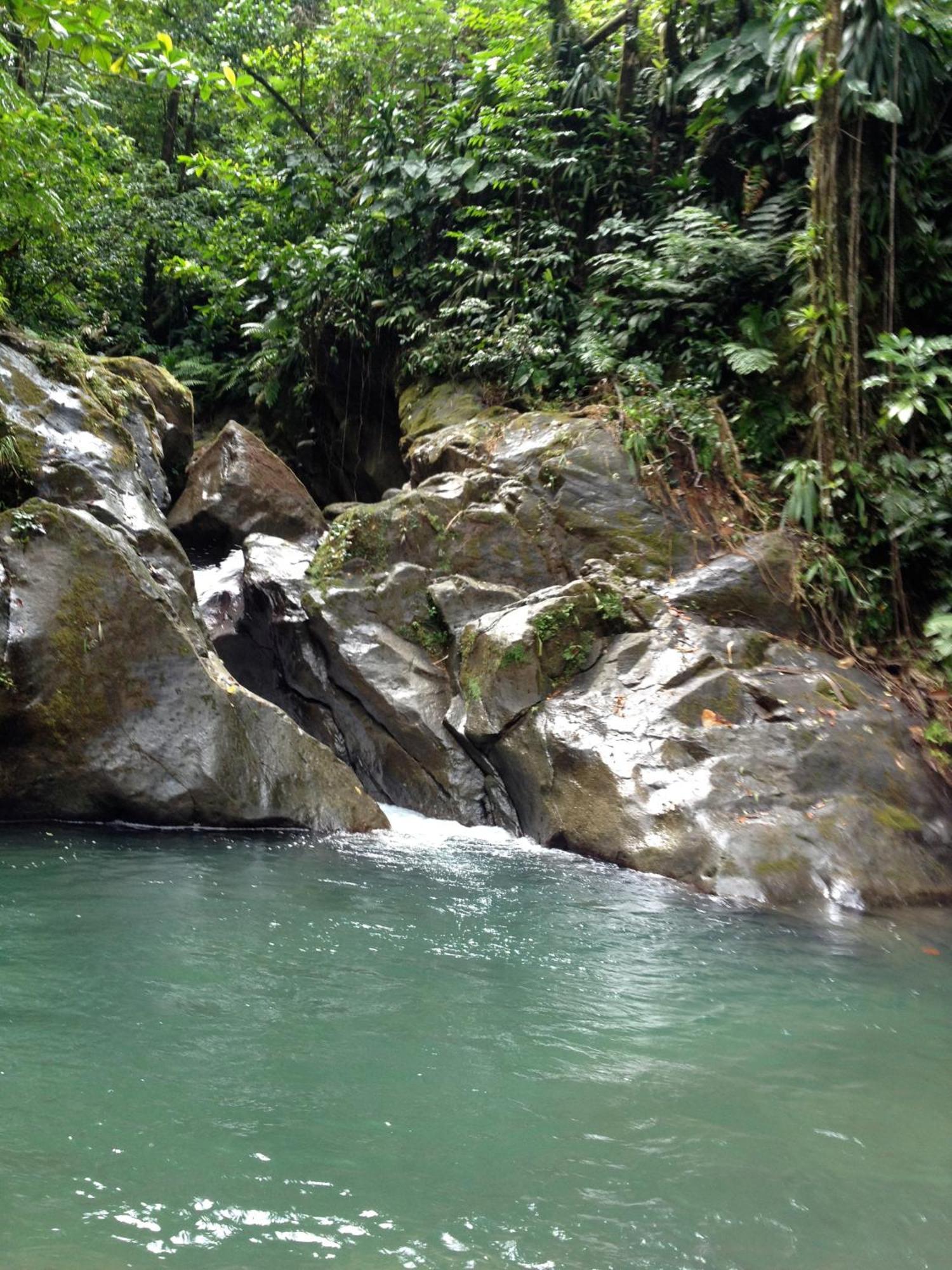 Roots Jungle Retreat Villa Marigot Bagian luar foto