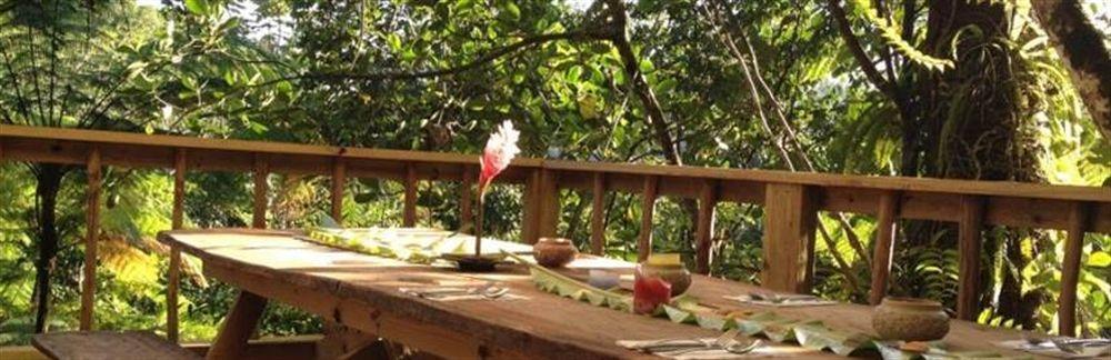 Roots Jungle Retreat Villa Marigot Bagian luar foto