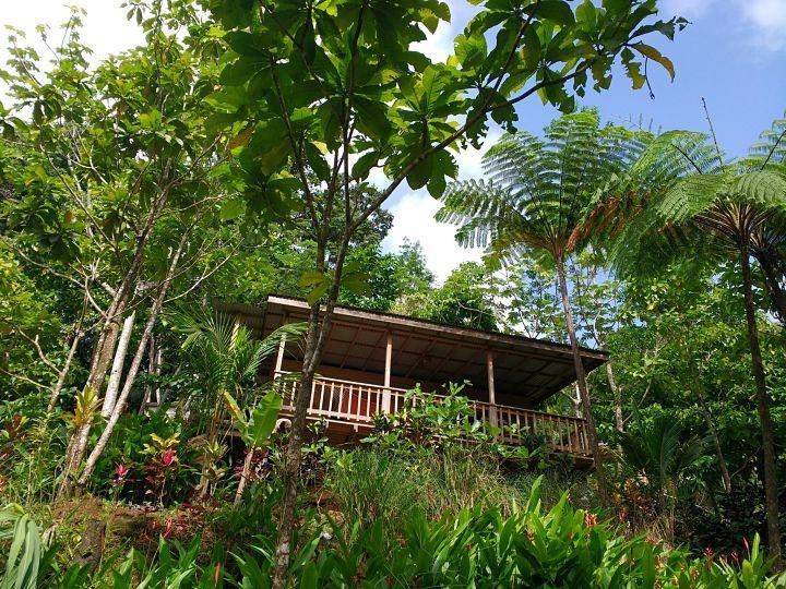 Roots Jungle Retreat Villa Marigot Bagian luar foto