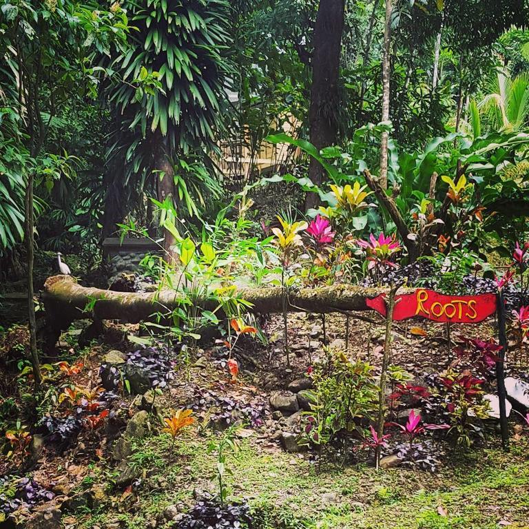 Roots Jungle Retreat Villa Marigot Bagian luar foto