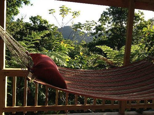 Roots Jungle Retreat Villa Marigot Bagian luar foto