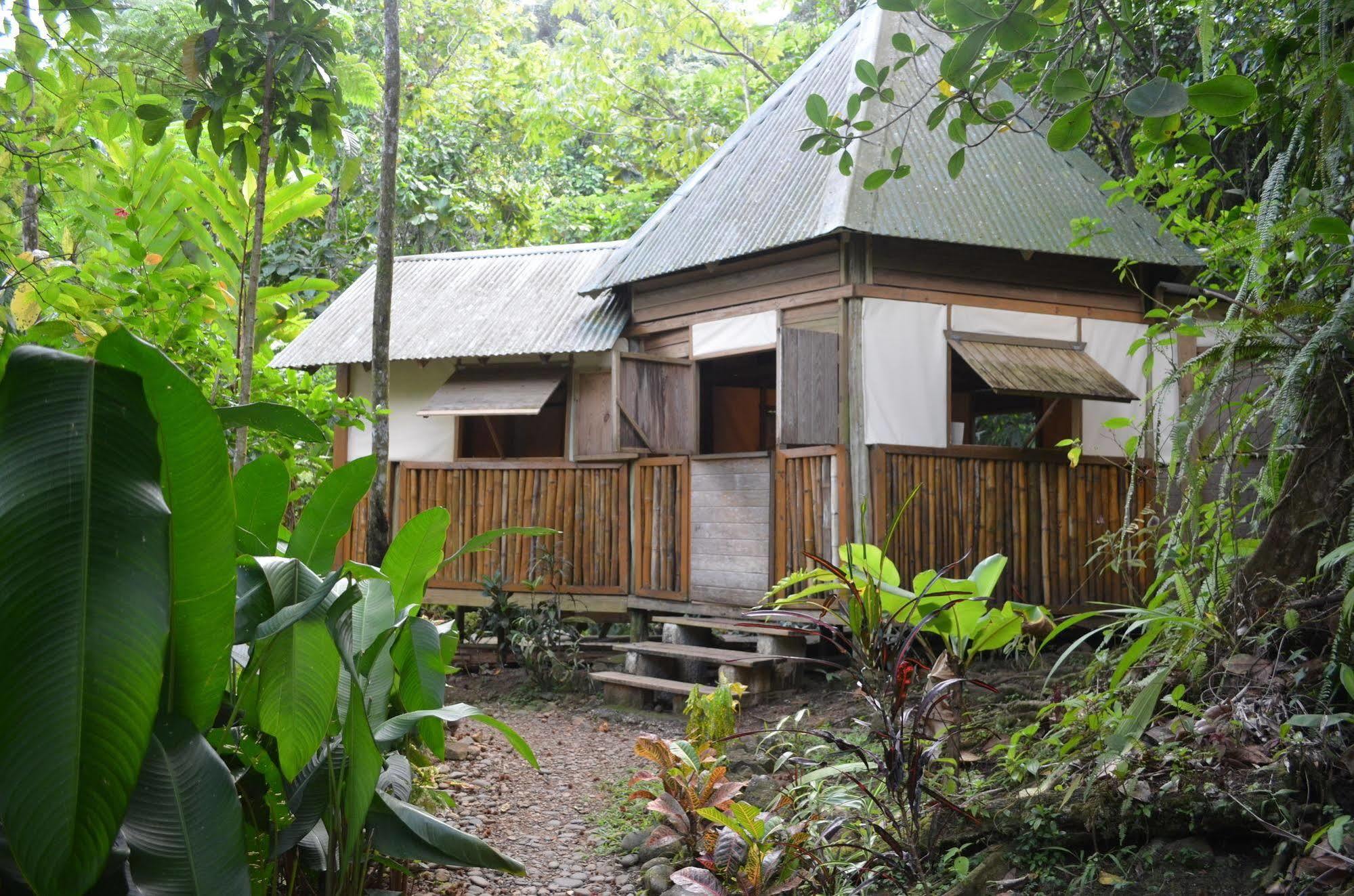 Roots Jungle Retreat Villa Marigot Bagian luar foto