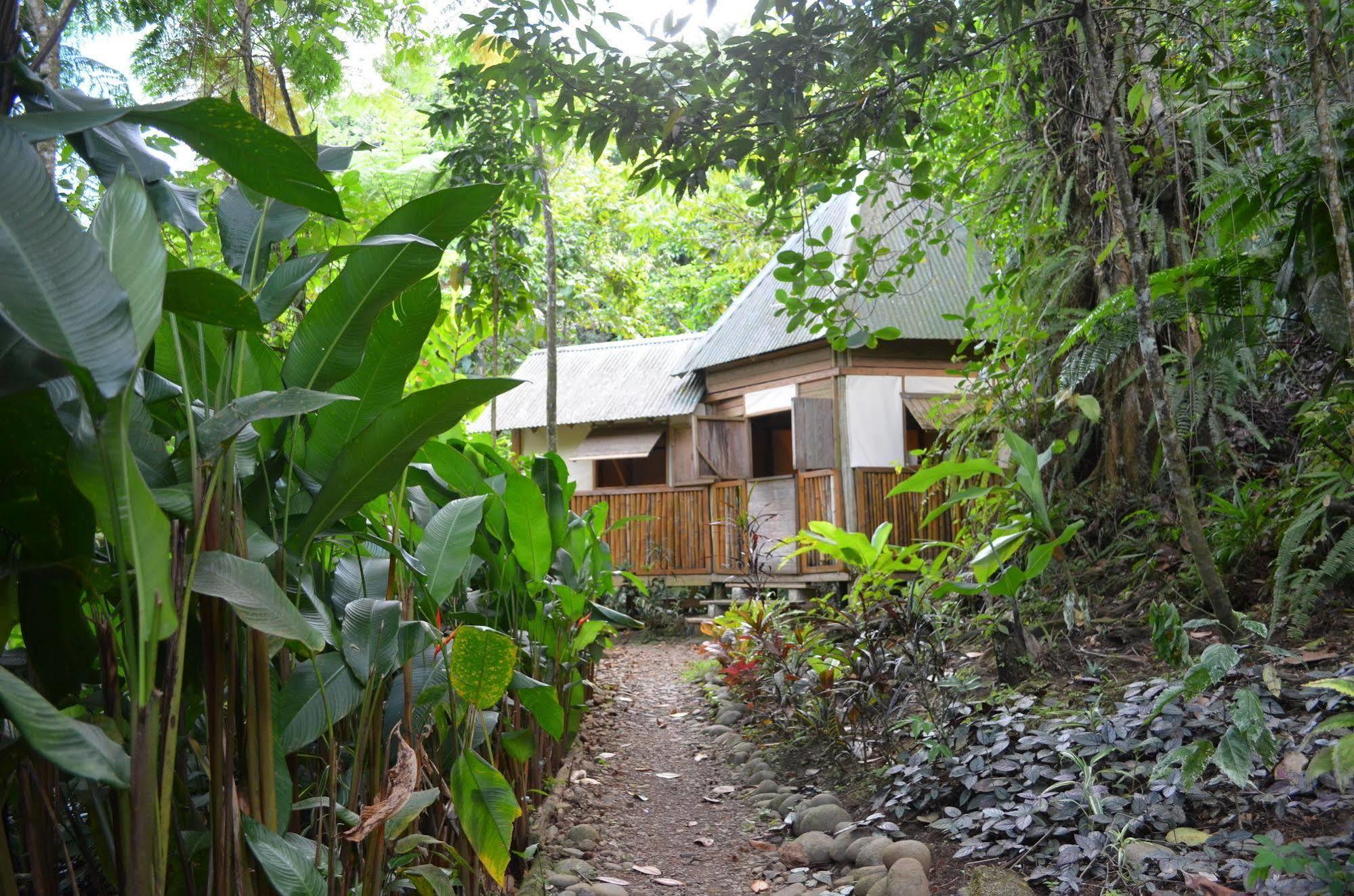 Roots Jungle Retreat Villa Marigot Bagian luar foto