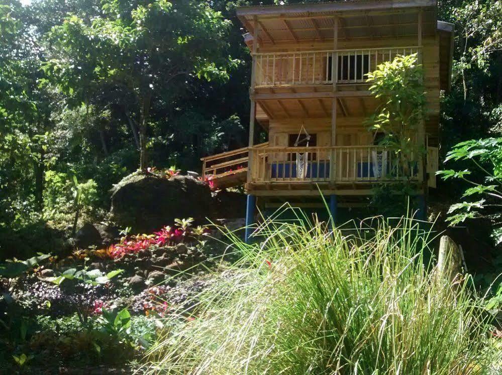 Roots Jungle Retreat Villa Marigot Bagian luar foto
